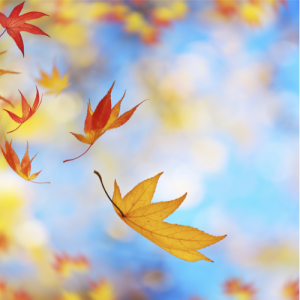 无锡初中语文补课班