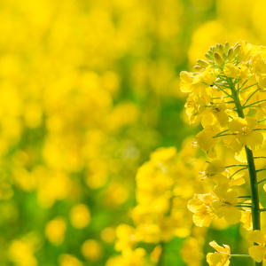 无锡初三辅导机构