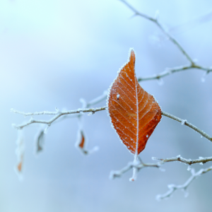 无锡滨湖区小升初辅导