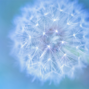 无锡五年级数学辅导机构