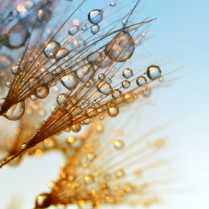 无锡东亭初一语文补习班