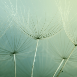 无锡三年级语文辅导机构