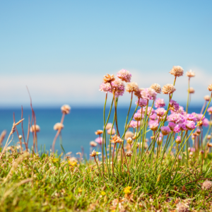 无锡滨湖初二语文辅导机构