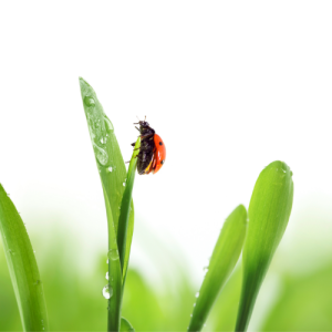 无锡滨湖初一物理一对一补习