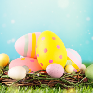 无锡高二数学一对一辅导