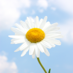 无锡高二语文一对一辅导