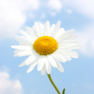 无锡高二语文一对一辅导